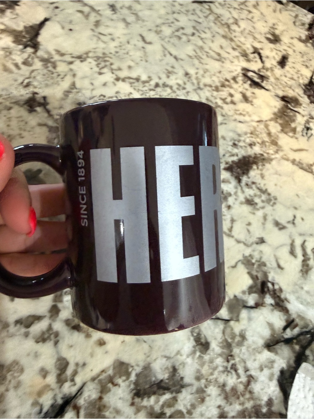 Vintage Hershey Ceramic Mug with Silver Lettering